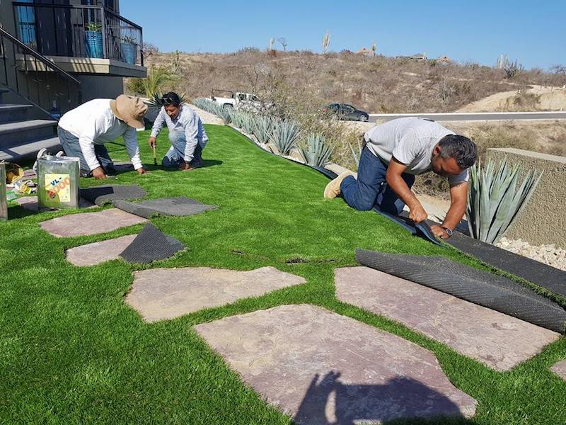 Proyectos de instalación de pasto